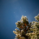 1/8 sec at f/1.2, ISO 12,800